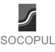 logo scopul